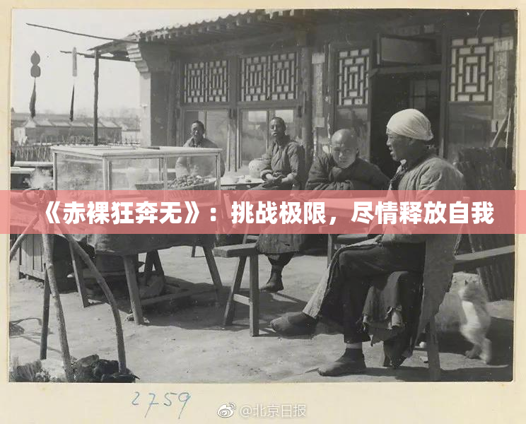 《赤裸狂奔无》：挑战极限，尽情释放自我