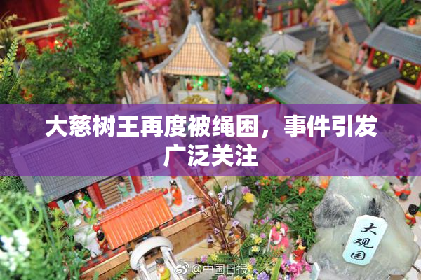 大慈树王再度被绳困，事件引发广泛关注