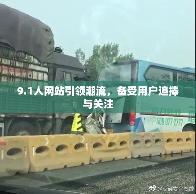 9.1人网站引领潮流，备受用户追捧与关注