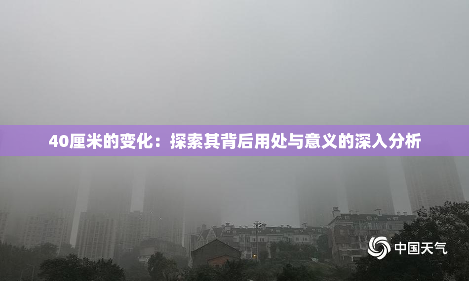 40厘米的变化：探索其背后用处与意义的深入分析