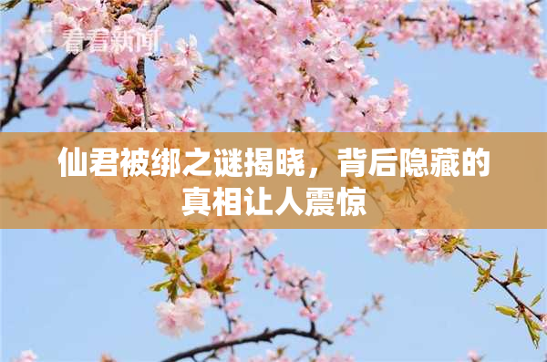 仙君被绑之谜揭晓，背后隐藏的真相让人震惊