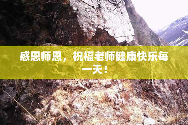 感恩师恩，祝福老师健康快乐每一天！
