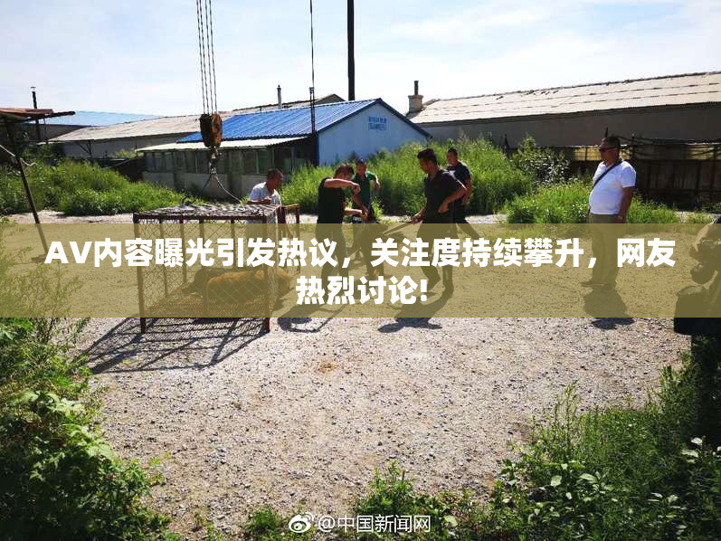 AV内容曝光引发热议，关注度持续攀升，网友热烈讨论!