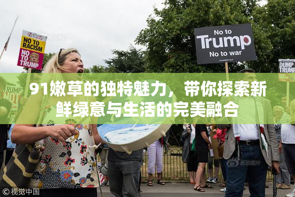 91嫩草的独特魅力，带你探索新鲜绿意与生活的完美融合