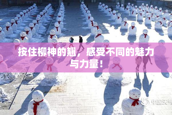 按住柳神的翘，感受不同的魅力与力量！