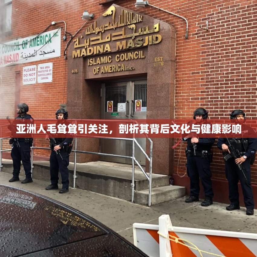 亚洲人毛耸耸引关注，剖析其背后文化与健康影响