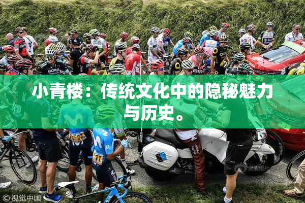 小青楼：传统文化中的隐秘魅力与历史。