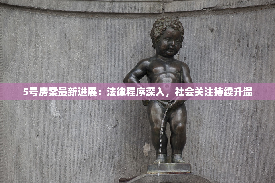 5号房案最新进展：法律程序深入，社会关注持续升温