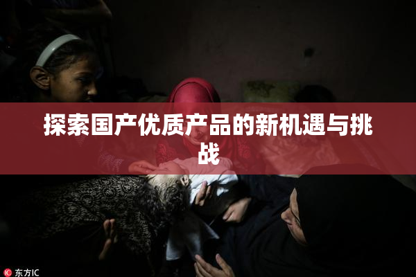 探索国产优质产品的新机遇与挑战