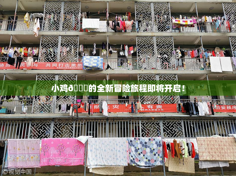 小鸡🐔的全新冒险旅程即将开启！