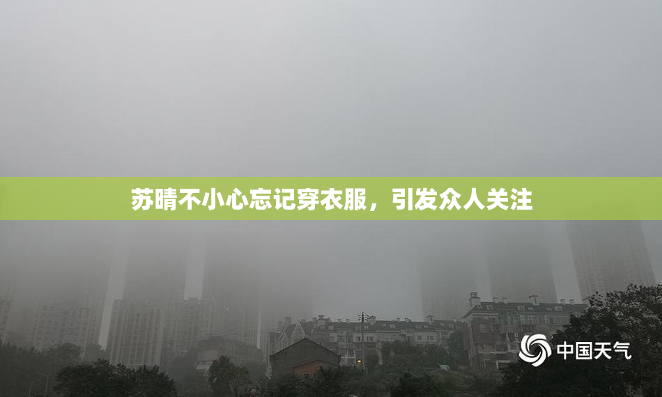 苏晴不小心忘记穿衣服，引发众人关注