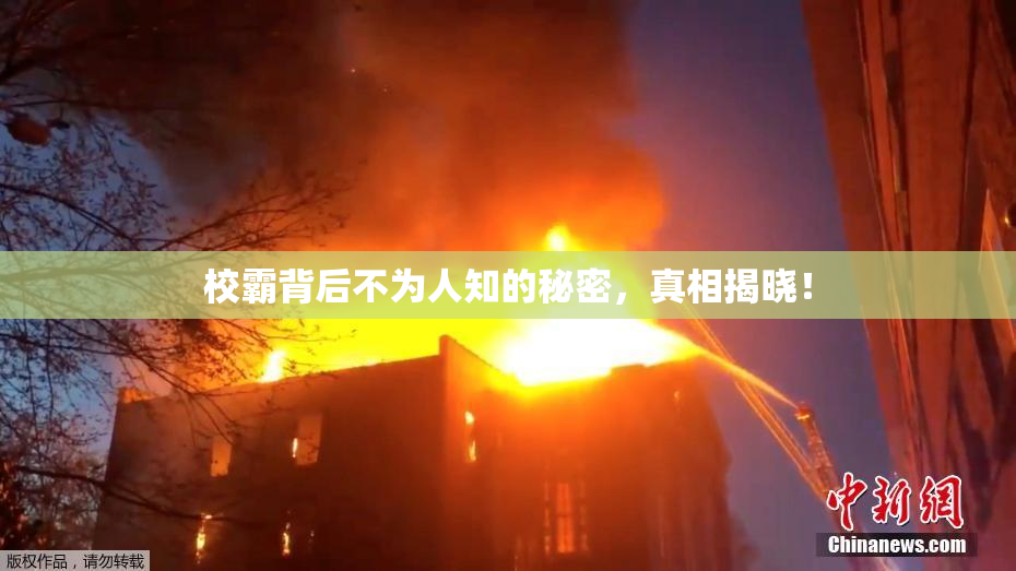 校霸背后不为人知的秘密，真相揭晓！