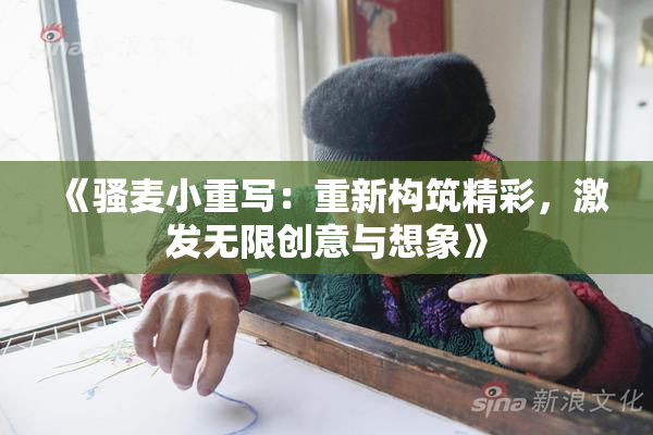 《骚麦小重写：重新构筑精彩，激发无限创意与想象》