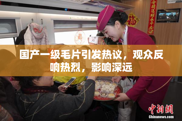 国产一级毛片引发热议，观众反响热烈，影响深远