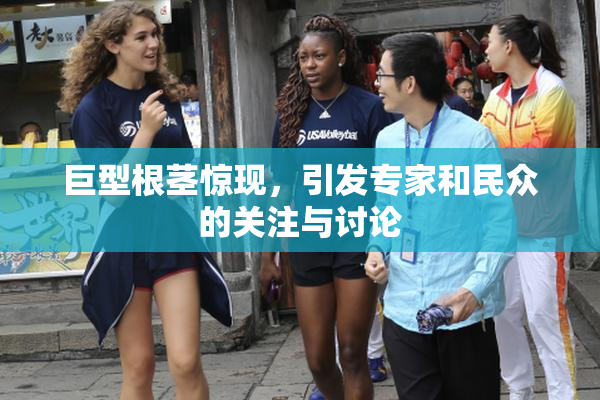巨型根茎惊现，引发专家和民众的关注与讨论