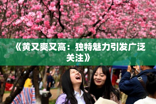 《黄又爽又高：独特魅力引发广泛关注》