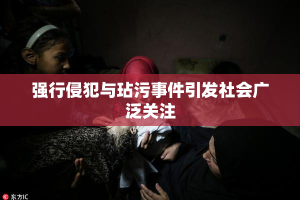 强行侵犯与玷污事件引发社会广泛关注