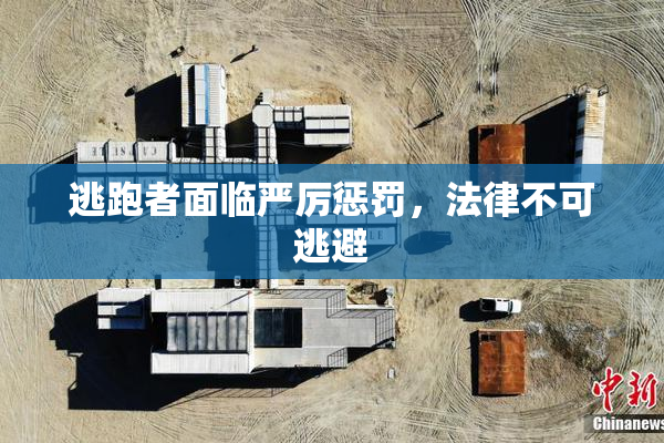 逃跑者面临严厉惩罚，法律不可逃避