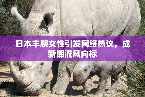 日本丰腴女性引发网络热议，成新潮流风向标
