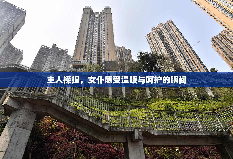 主人揉捏，女仆感受温暖与呵护的瞬间
