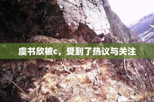 虞书欣被c，受到了热议与关注