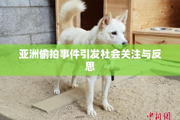 亚洲偷拍事件引发社会关注与反思