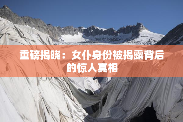 重磅揭晓：女仆身份被揭露背后的惊人真相