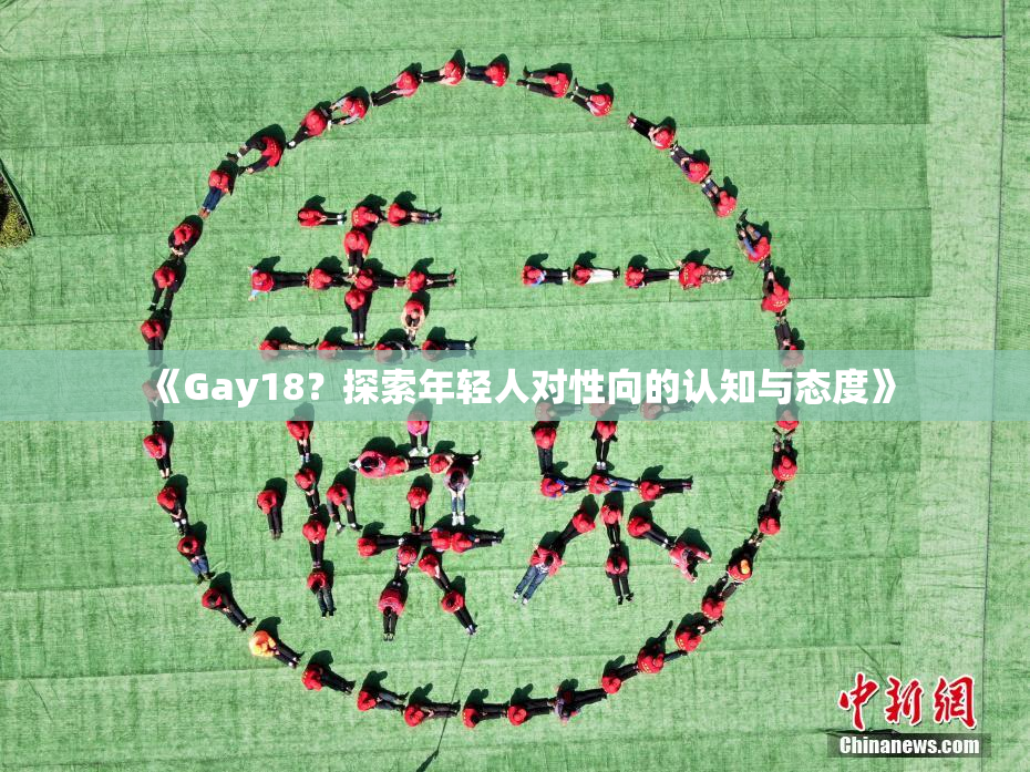 《Gay18？探索年轻人对性向的认知与态度》