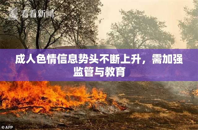成人色情信息势头不断上升，需加强监管与教育