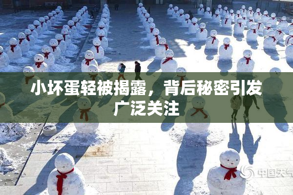 小坏蛋轻被揭露，背后秘密引发广泛关注