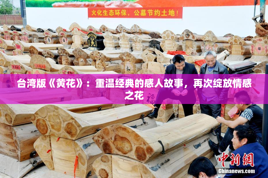 台湾版《黄花》：重温经典的感人故事，再次绽放情感之花