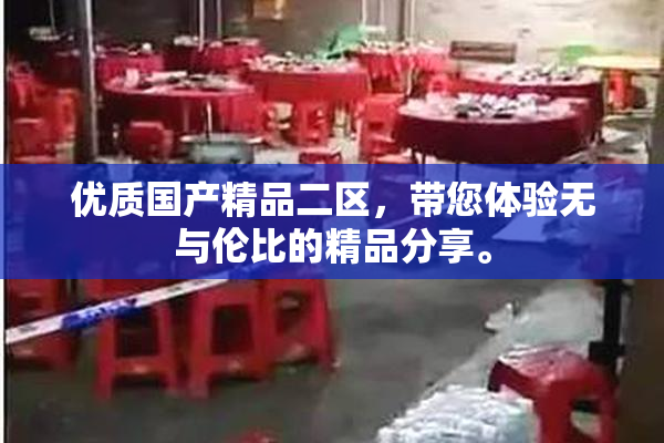 优质国产精品二区，带您体验无与伦比的精品分享。
