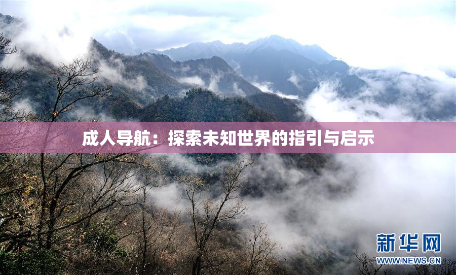 成人导航：探索未知世界的指引与启示