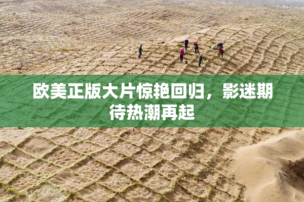 欧美正版大片惊艳回归，影迷期待热潮再起
