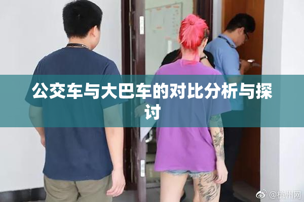 公交车与大巴车的对比分析与探讨