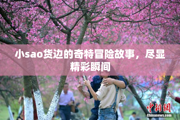 小sao货边的奇特冒险故事，尽显精彩瞬间