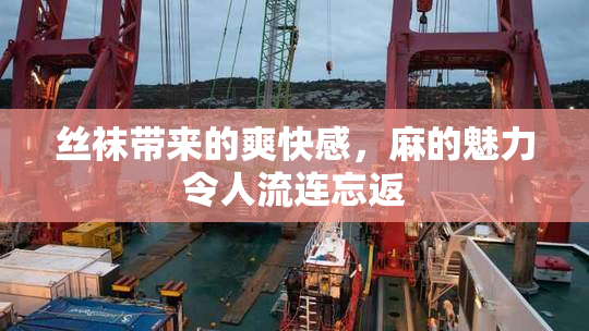 丝袜带来的爽快感，麻的魅力令人流连忘返