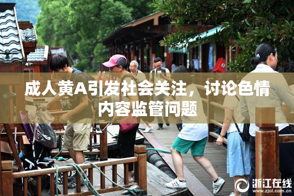 成人黄A引发社会关注，讨论色情内容监管问题