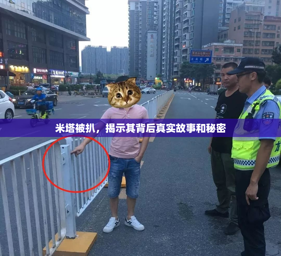 米塔被扒，揭示其背后真实故事和秘密