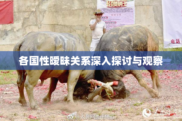 各国性暧昧关系深入探讨与观察
