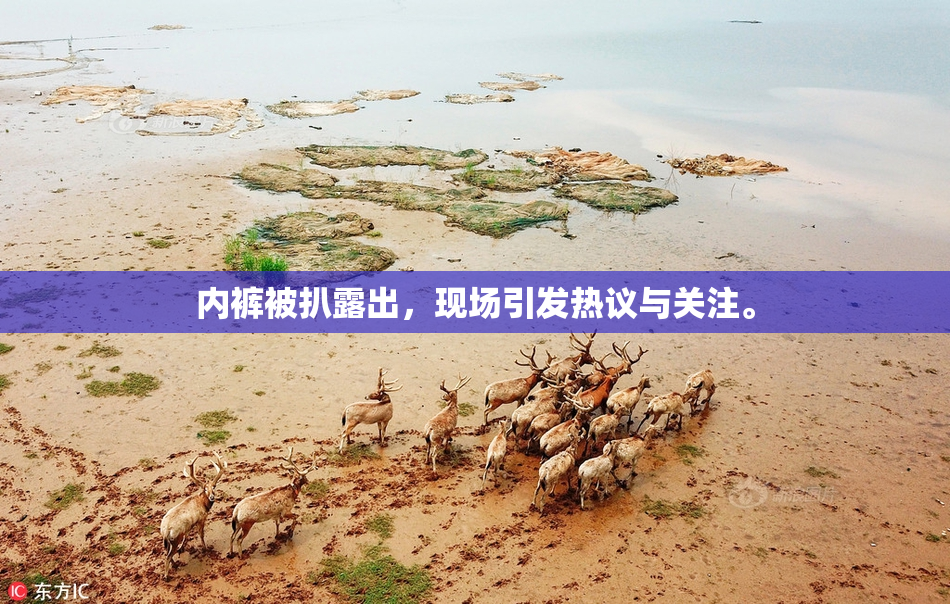 内裤被扒露出，现场引发热议与关注。