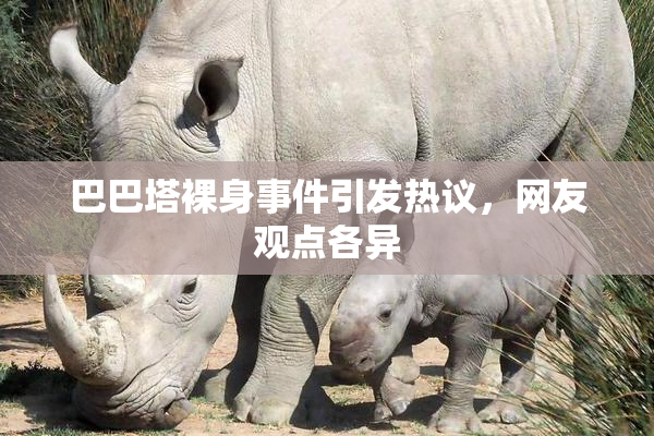 巴巴塔裸身事件引发热议，网友观点各异