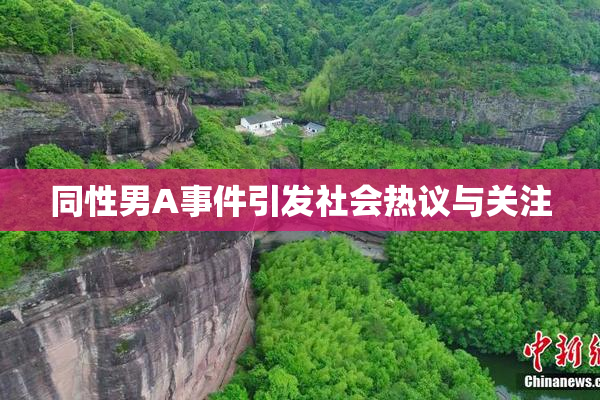 同性男A事件引发社会热议与关注