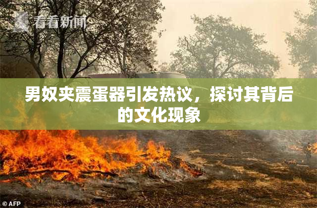 男奴夹震蛋器引发热议，探讨其背后的文化现象