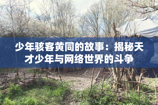 少年骇客黄同的故事：揭秘天才少年与网络世界的斗争