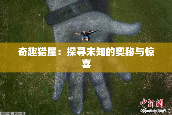 奇趣猎屋：探寻未知的奥秘与惊喜