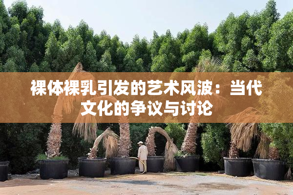 裸体裸乳引发的艺术风波：当代文化的争议与讨论