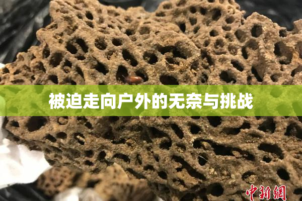 被迫走向户外的无奈与挑战