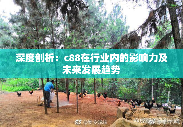 深度剖析：c88在行业内的影响力及未来发展趋势
