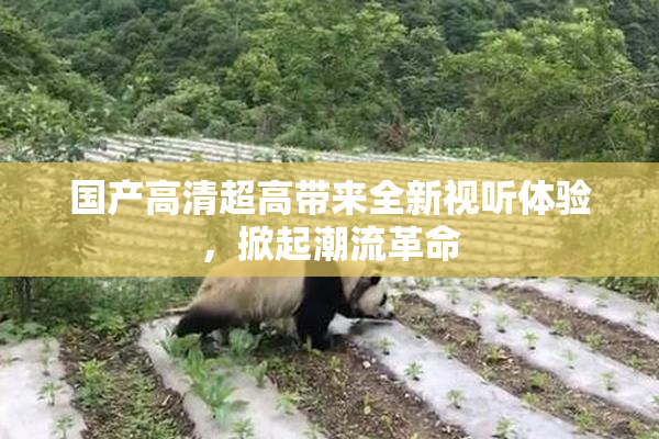 国产高清超高带来全新视听体验，掀起潮流革命